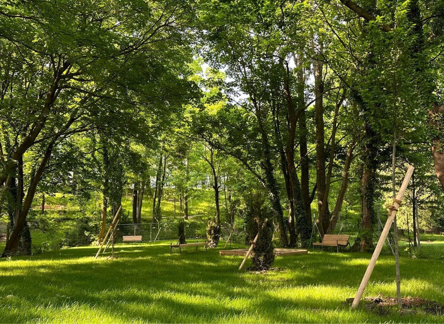 Parkanlage der Park Suites mit altem Baumbestand und gestalteten Grünflächen zwischen den Wohnhäusern